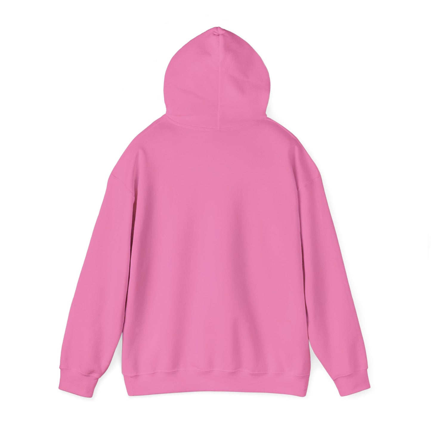 Hooded Sweatshirt Quiet Recording in Session