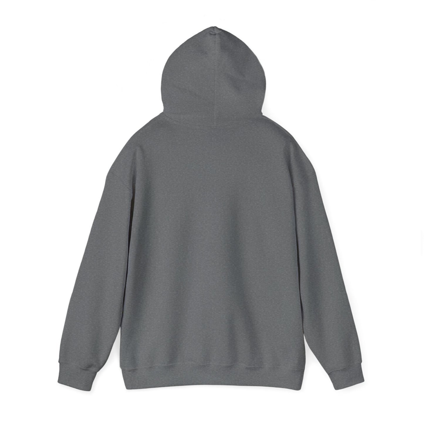 Quiet Recording in Session Hooded Sweatshirt